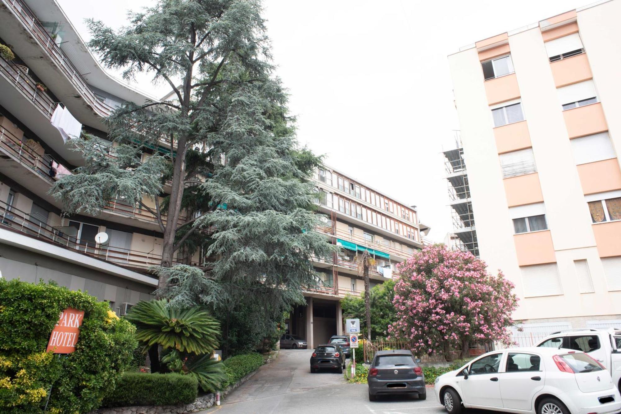 Casa Lorenza 上阿尔比索拉 外观 照片